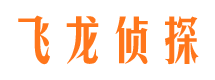 凯里调查公司